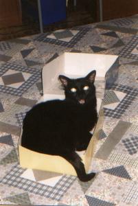 METI